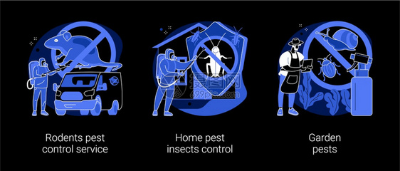 家畜虫害控制服务家庭昆虫控制园艺害老鼠捕捉害虫灭黑暗模式比喻家畜和花园保护抽象概念矢量说明图片