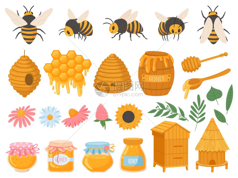 养蜂产品玻璃罐中的各种蜂蜜巢花卉和蜜有机食物矢量组蜂蜜和养甜味有机食物矢量组玻璃罐中的各种蜂蜜产品巢花卉和蜜有机食物矢量组蜂窝蜜图片