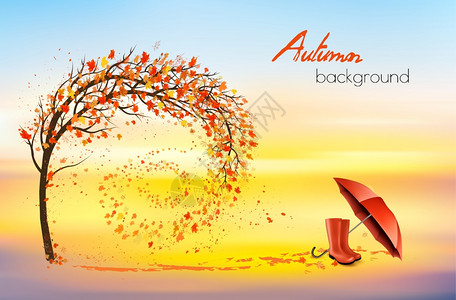 秋天的风景树上有秋色的叶子红雨伞公园里有靴背景矢量插图图片