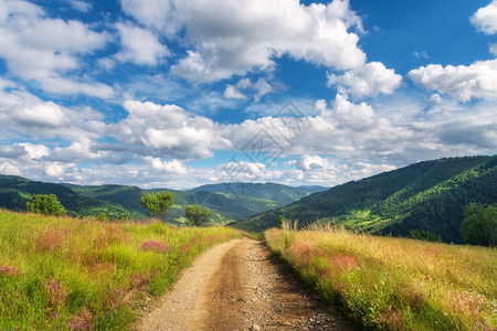 夏季阳光明媚的山地土路充满了道绿草紫花森林山日落时有云的蓝天空多彩风景图片