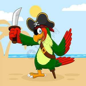鹦鹉海盗鸟用的刻画字矢量一说明带有棕榈和海滩背景图片