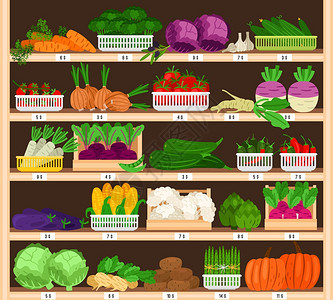 蔬菜在货架上销售蔬菜在价格上市场生态超成熟健康有机杂货销售番茄和南瓜大蒜玉米病媒说明蔬菜在价格上市场大蒜和玉米图片