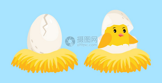 从蛋壳中孵出的新生小鸡卡通矢量插画图片