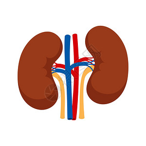 科技人体插画-科技人体卡通-虚拟适客室抽象概念矢量说明虚拟适客3d