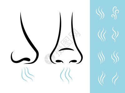 闻思以人的鼻子和空气闻图标呼吸和芳香矢量图标设置以人鼻子闻图标