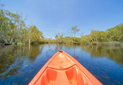 Kayak独木舟在Rayong植物园旧纸条林热带森湖泊或河流以及公园和泰的反射图片