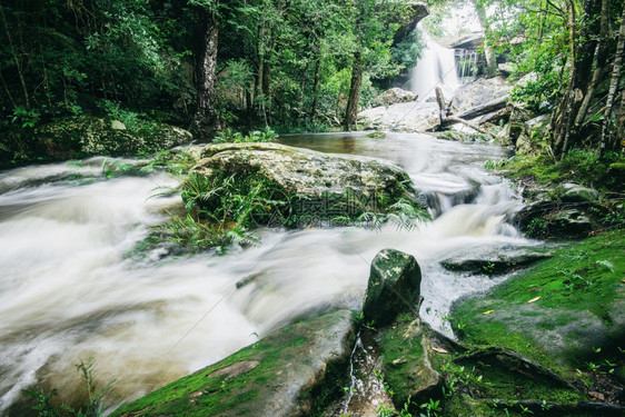 泰国美丽的森林在雨中绿树和植物的细绿树和植物雨林中岩石和树木上有苔山流淌着水图片