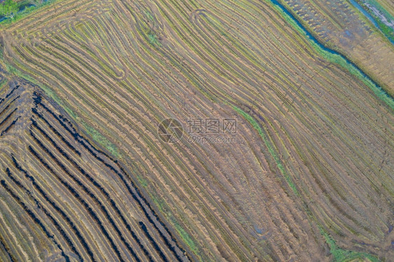 在越南亚洲山谷MuCangChai农村或地区新稻田绿越南山谷的空中最高风景自然观背图片