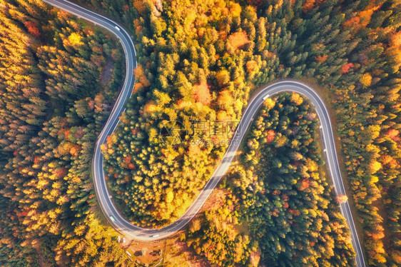 秋天森林和弯曲的道路的空中美景图片