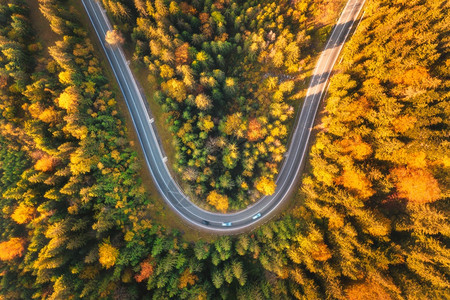 秋天森林和弯曲的道路的空中美景图片