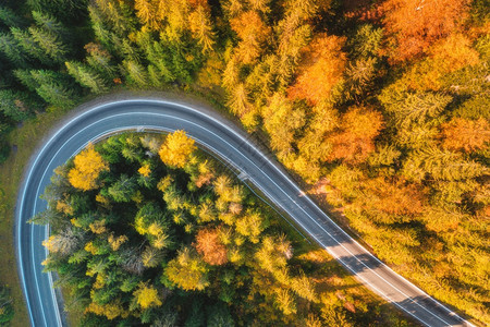 秋天森林和弯曲的道路的空中美景图片