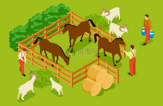 畜牧业马山羊绵和工人等量矢说明畜牧农场马和绵羊畜牧农场牲和马绵羊工人等量矢说明图片