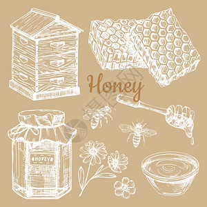 元素蜜蜂窝罐子手草图画的蜂蜜和花手草图画的蜂矢量元素蜜罐子插画