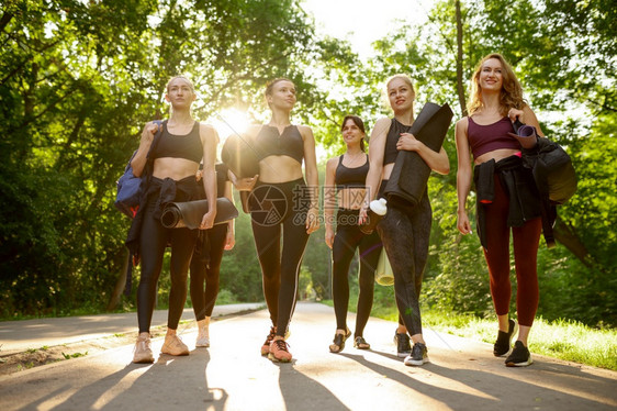许多妇女有席子夏季公园集体瑜伽培训冥想户外健身班集体瑜伽培训图片