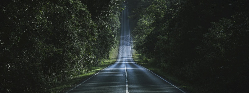 通往秋季森林自然方式概念的道路图片