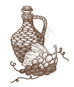 葡萄种植作物和酒壶矢量元素图片