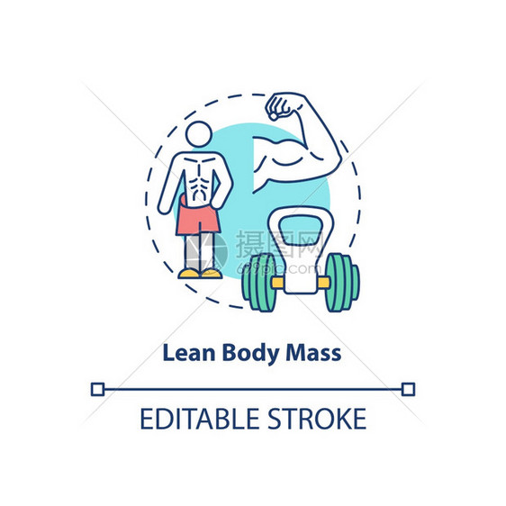 立体质量概念图标适合的运动员体育训练身护理和健康动物学概念细线插图矢量孤立的大纲RGB颜色绘图可编辑的中风图片
