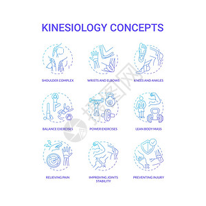 动物学概念蓝梯度图标设置有氧运动锻炼人体保健理念细线RGB颜色图解矢量孤立大纲图画图片