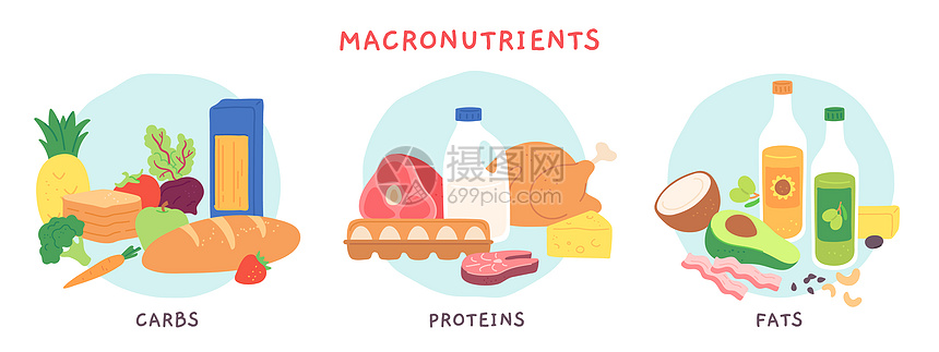 食品宏观营养素脂肪碳水化合物和含有果奶制品的蛋白质食组营养复合饮食病媒信息学说明饮食成分烹饪杂货营养饮食病媒信息集图片