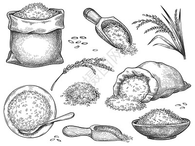 面粉背景小麦黑大巴斯马提或茉莉米的谷物小麦巴斯马提或茉莉米的重新雕刻小麦大巴斯马提或茉米大小麦黑大巴斯马蒂或茉米大小麦和和插画