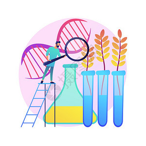 转基因植物抽象概念矢量说明转基因作物植生技术农业增加新特征gmo农耕转基因抽象比喻转基因植物抽象概念说明转基因植物图片