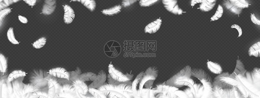 坠落羽毛背景现实的3d飞毛禽羽用于广告横向幅装饰框架海报或传单矢量孤立的母鸡鹅或天的羽毛坠落背景现实的3d飞毛鸟羽 用于广告横向幅高清图片下载 正版图片 摄图网 坠落羽毛背景现实的3d飞毛禽羽用于广告横向幅装饰框架海报或传单矢量孤立的母鸡鹅或天的羽毛坠落背景现实的3d飞毛鸟羽 用于广告横向幅高清图片下载 正版图片 摄图网