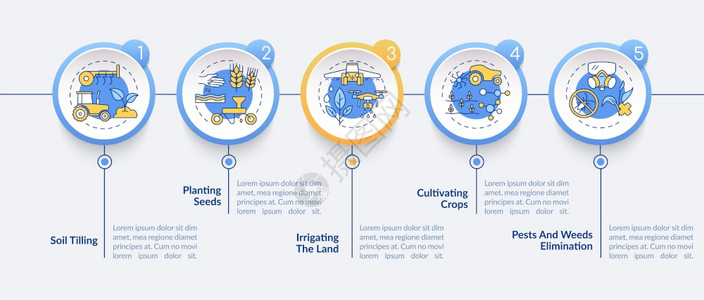农业机器任务矢量信息图模板土壤耕种展示设计元素5个步骤的数据可视化进程时间表图带有线标的工作流布局农业机器任务矢量信息模板图片