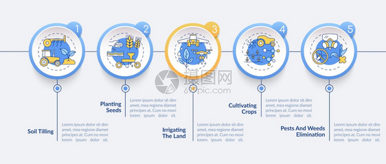 农业机器任务矢量信息图模板土壤耕种展示设计元素5个步骤的数据可视化进程时间表图带有线标的工作流布局农业机器任务矢量信息模板图片