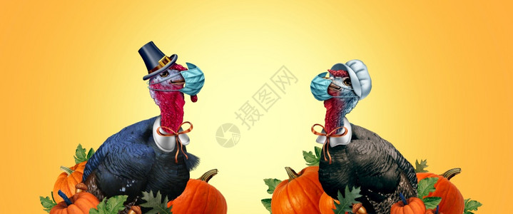 健康感恩节横幅作为季标志配有火鸡汤姆或小和母每人佩戴面罩和外科部保护以3D插图保护疾病图片