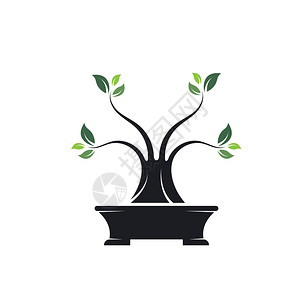 bonsai植物图标矢量说明设计模板图片