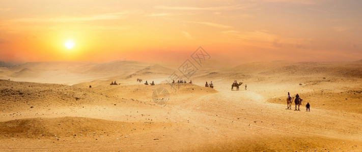 观察沙漠山丘埃及图片