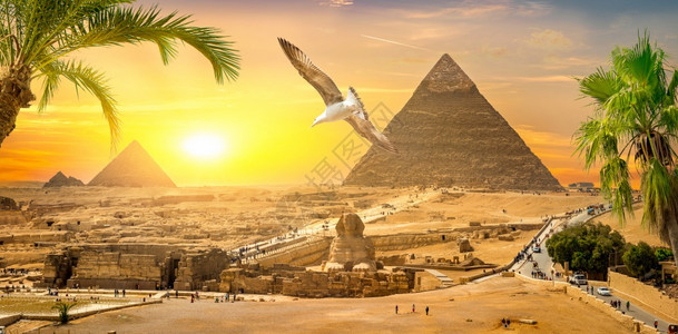 斯芬克和金字塔在埃及沙漠棕榈和吉萨图片