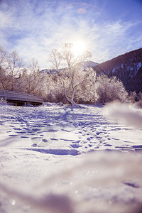 古时冬季风景木桥和雪树背景的山脉图片