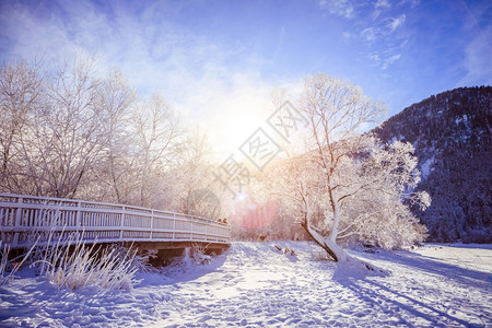 古时冬季风景木桥和雪树背景的山脉图片