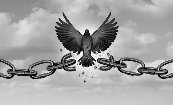 自由隐喻是的象征用3D插图元素打破鸟翅膀的链条概念图片
