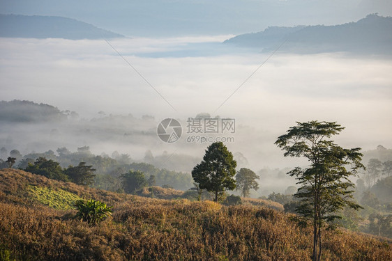 日出烟雾覆盖了山地背景在乡村冬季雾清晨美丽的风景林图片