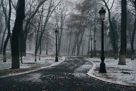 下雪时的公园图片