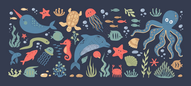 海洋动物图集图片