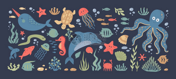 海洋动物图集图片