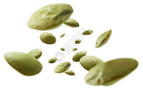 绿色扁豆在白背景上飘图片