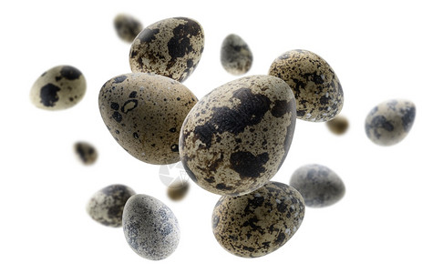 科大讯飞小蛋背景