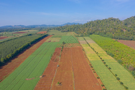 以绿色山丘为农业概念的新鲜草地大米和作物田的空中最高视野泰国的自然景观背图片