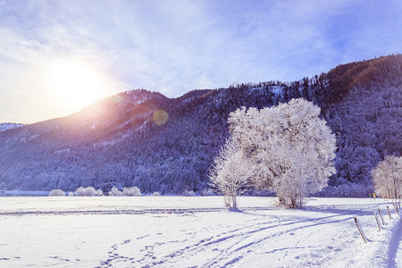 荒冬季景观雪树和田背景的山脉图片