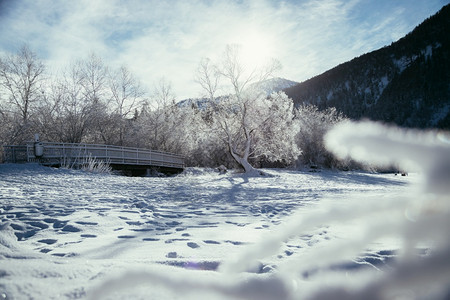 古时冬季风景木桥和雪树背景的山脉图片