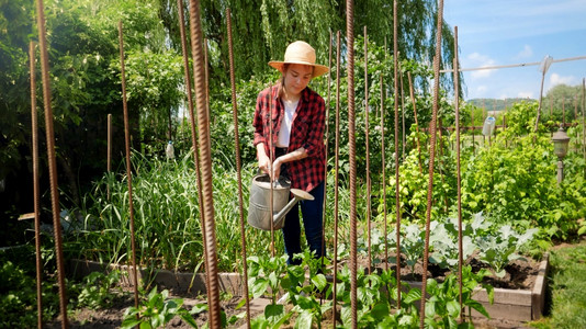 在果园种植的青农妇女不愿饮用绿色有机蔬菜在后院花园和果工作的人在后院花园和果工作的人图片