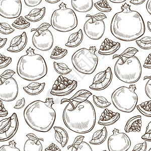 手绘精美水果石榴苹果橙子插画图片