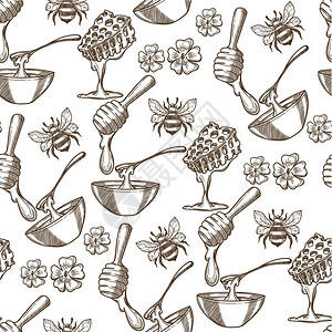 蜂蜜特写蜜蜂野花蜜蜂有机天然产品矢量元素插画插画
