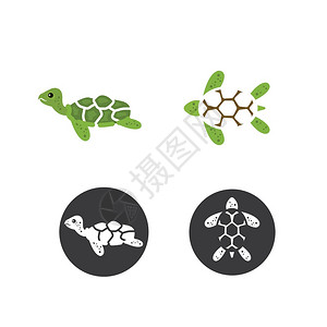 海龟图标矢量说明设计图片