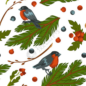 鸟儿坐在长青树枝上牛翅无缝有浆果和松树枝冬季符号寄生叶和装饰树平板的矢量牛翅鸟坐在松树枝上图片