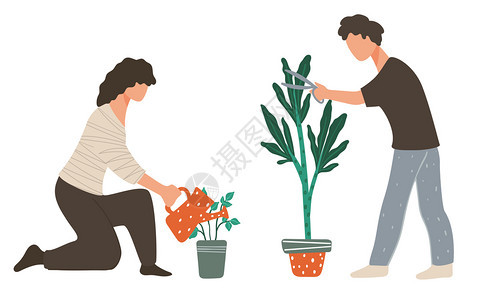 种植家用物切开宽叶子和浇灌植物以生长的男女图片
